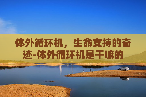 体外循环机，生命支持的奇迹-体外循环机是干嘛的