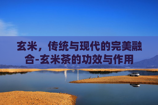 玄米，传统与现代的完美融合-玄米茶的功效与作用