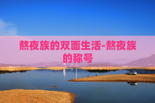 熬夜族的双面生活-熬夜族的称号