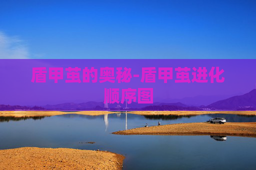 盾甲茧的奥秘-盾甲茧进化顺序图 盾甲茧的奥秘-盾甲茧进化顺序图