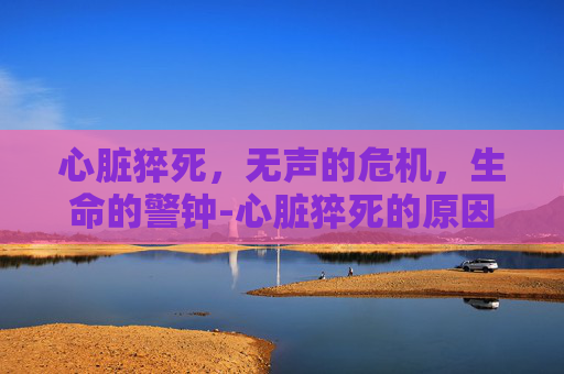 心脏猝死,无声的危机,生命的警钟-心脏猝死的原因 心脏猝死,无声的危机,生命的警钟-心脏猝死的原因