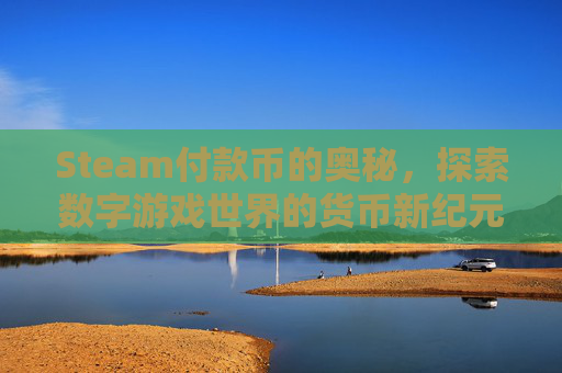 Steam付款币的奥秘，探索数字游戏世界的货币新纪元-steam钱包购买