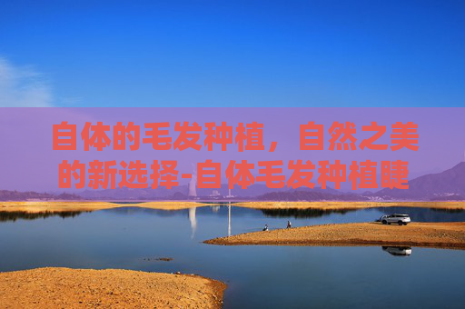 自体的毛发种植，自然之美的新选择-自体毛发种植睫毛效果图