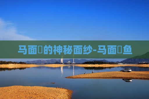 马面鲀的神秘面纱-马面鲀鱼