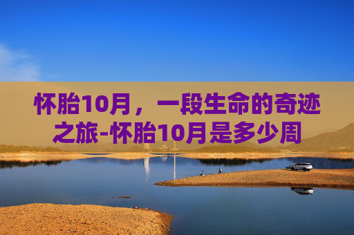 怀胎10月，一段生命的奇迹之旅-怀胎10月是多少周