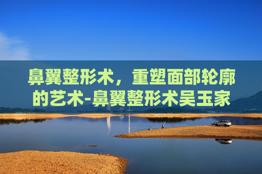 鼻翼整形术，重塑面部轮廓的艺术-鼻翼整形术吴玉家医生