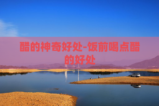 醋的神奇好处-饭前喝点醋的好处