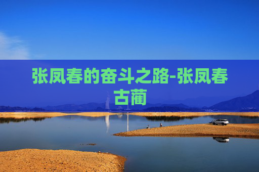 张凤春的奋斗之路-张凤春古蔺