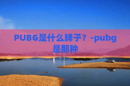 PUBG是什么牌子？-pubg是那种