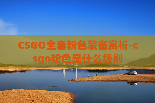 CSGO全套粉色装备赏析-csgo粉色是什么级别