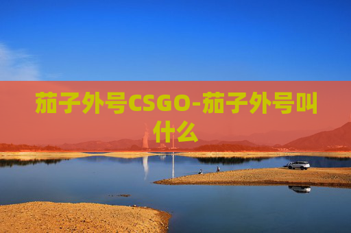 茄子外号CSGO-茄子外号叫什么