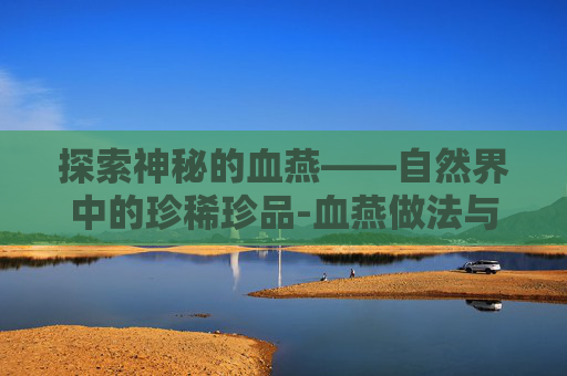 探索神秘的血燕——自然界中的珍稀珍品-血燕做法与吃法