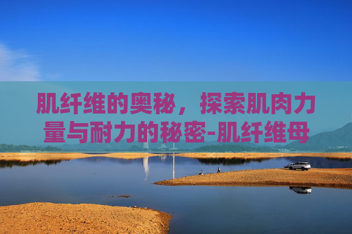 肌纤维的奥秘，探索肌肉力量与耐力的秘密-肌纤维母细胞瘤