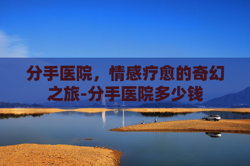 分手医院，情感疗愈的奇幻之旅-分手医院多少钱
