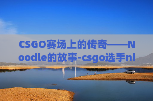 CSGO赛场上的传奇——Noodle的故事-csgo选手niko百度百科