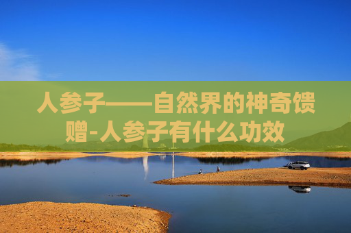 人参子——自然界的神奇馈赠-人参子有什么功效