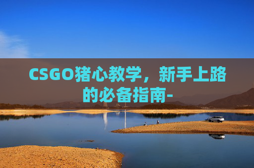CSGO猪心教学，新手上路的必备指南-