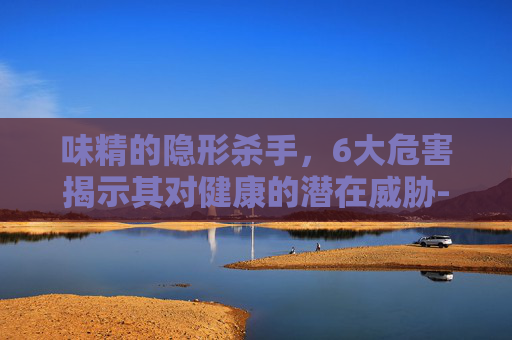 味精的隐形杀手，6大危害揭示其对健康的潜在威胁-吃味精对人的6大危害是什么