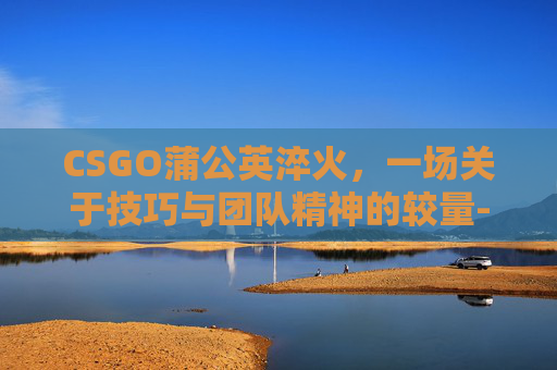 CSGO蒲公英淬火，一场关于技巧与团队精神的较量-