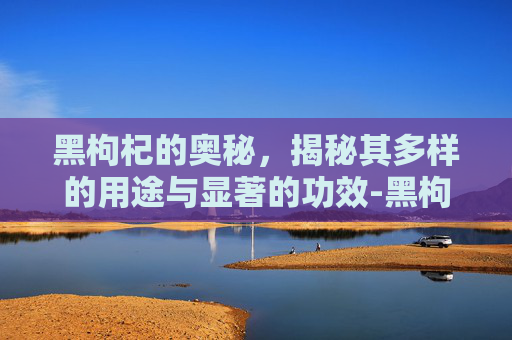 黑枸杞的奥秘，揭秘其多样的用途与显著的功效-黑枸杞的用途和功效禁忌