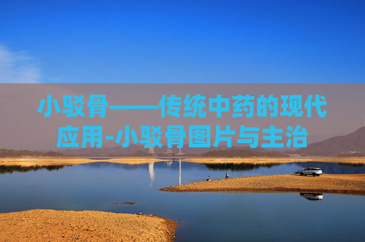 小驳骨——传统中药的现代应用-小驳骨图片与主治