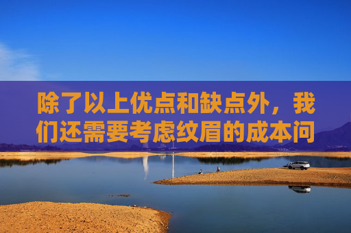 除了以上优点和缺点外，我们还需要考虑纹眉的成本问题。纹眉的价格因地区、机构和个人需求而异，一般来说，价格较高。因此，在考虑纹眉时，需要根据自己的经济状况和需求做出合理的选择。-纹眉好吗对身体有害吗