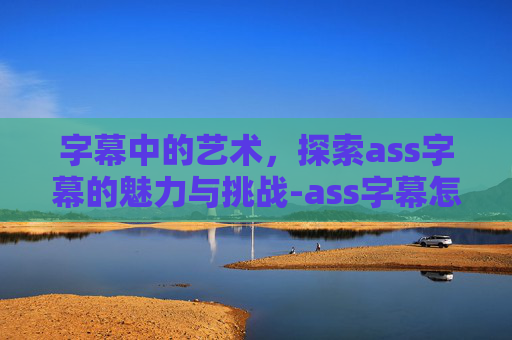 字幕中的艺术，探索ass字幕的魅力与挑战-ass字幕怎么改字体