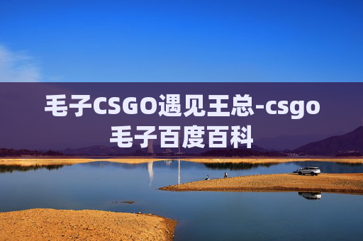 毛子CSGO遇见王总-csgo毛子百度百科