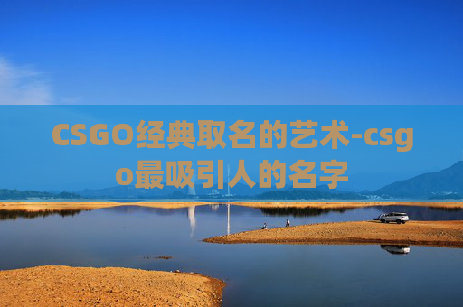 CSGO经典取名的艺术-csgo最吸引人的名字