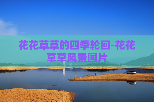 花花草草的四季轮回-花花草草风景图片