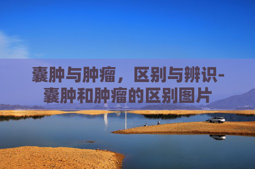 囊肿与肿瘤，区别与辨识-囊肿和肿瘤的区别图片