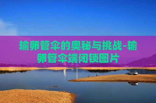 输卵管伞的奥秘与挑战-输卵管伞端闭锁图片