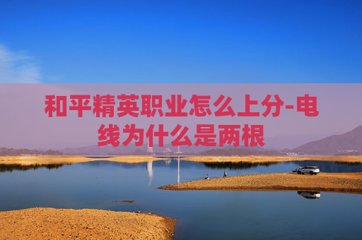 和平精英职业怎么上分-电线为什么是两根