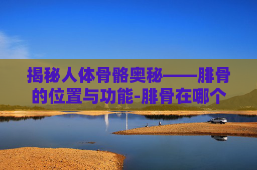 揭秘人体骨骼奥秘——腓骨的位置与功能-腓骨在哪个位置示意图