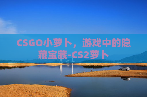 CSGO小萝卜，游戏中的隐藏宝藏-CS2萝卜