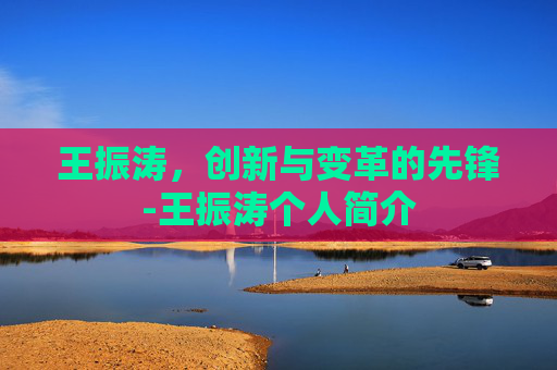 王振涛，创新与变革的先锋-王振涛个人简介