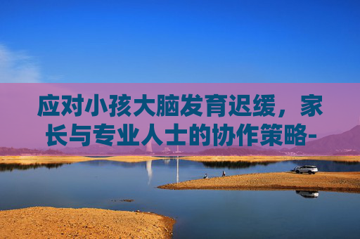应对小孩大脑发育迟缓，家长与专业人士的协作策略-小孩大脑发育迟缓能恢复正常吗