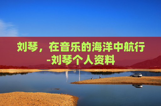 刘琴，在音乐的海洋中航行-刘琴个人资料