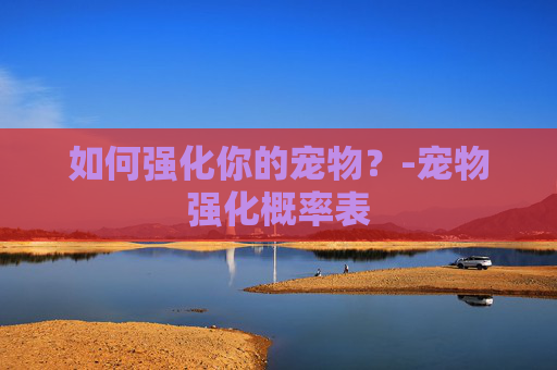 如何强化你的宠物？-宠物强化概率表