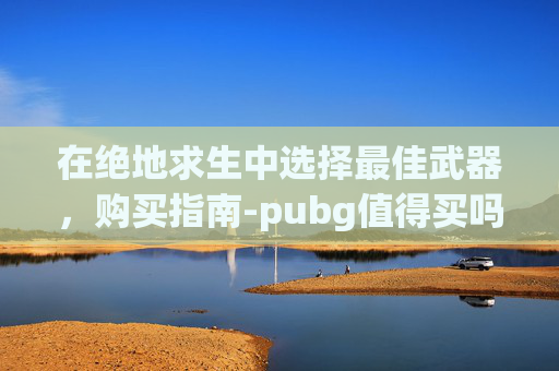 在绝地求生中选择最佳武器，购买指南-pubg值得买吗