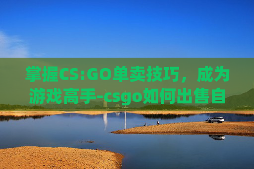 掌握CS:GO单卖技巧，成为游戏高手-csgo如何出售自己的物品