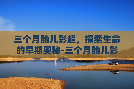 三个月胎儿彩超，探索生命的早期奥秘-三个月胎儿彩超图