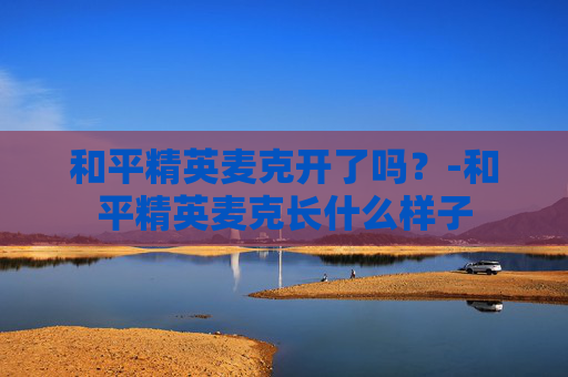 和平精英麦克开了吗？-和平精英麦克长什么样子