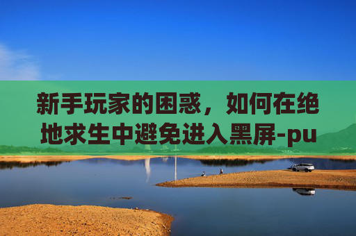 新手玩家的困惑，如何在绝地求生中避免进入黑屏-pubg进入后黑屏