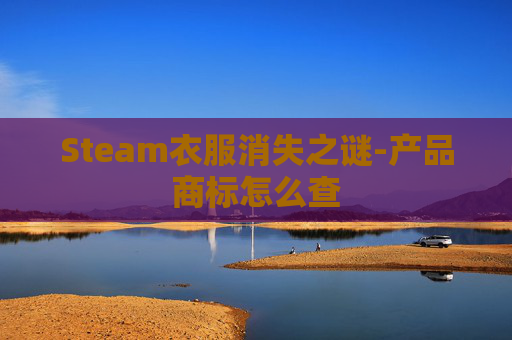 Steam衣服消失之谜-产品商标怎么查