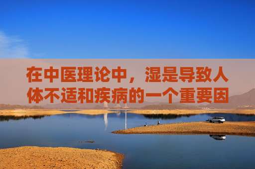 在中医理论中，湿是导致人体不适和疾病的一个重要因素。它不仅影响我们的健康，还可能引发各种病症，如肥胖、关节疼痛等。因此，祛湿成为了许多人追求健康的重要目标。那么，我们应该如何祛湿呢？-怎样祛湿除体内湿气