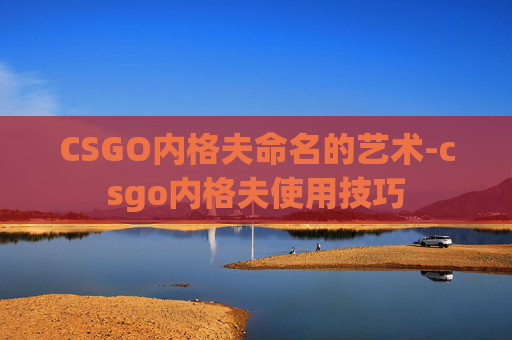 CSGO内格夫命名的艺术-csgo内格夫使用技巧
