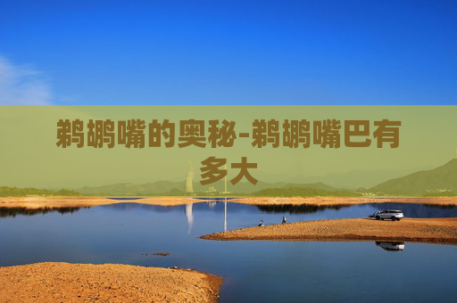 鹈鹕嘴的奥秘-鹈鹕嘴巴有多大