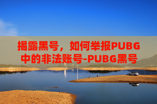 揭露黑号，如何举报PUBG中的非法账号-PUBG黑号