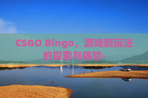 CSGO Bingo，游戏新玩法的探索与体验-